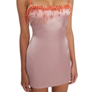 Danielle Guizio Designer Dress